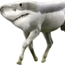 HorseShark