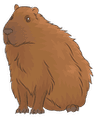 Capybara_3