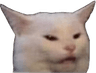catbruh