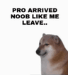 ProsArrivedNoobsLikeMeLeave