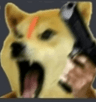 doge_gun