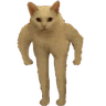 Cat_stand