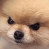 emoji_337