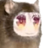 873248083885047888