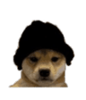 Animal_BeanieDog