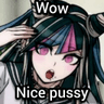 Nicepussy