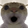 emoji_152