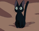 kitty