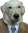 businessdog