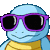 Squirtle_Cool