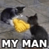 catmyman