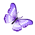PurpleButterfly