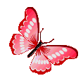 RedButterfly