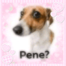 p_n
