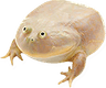my_dudes