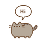 hi_pusheen