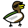 coolduckpng