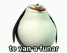 te_van_a_funar