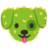 puppycactus