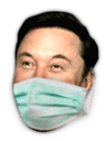 elonmask