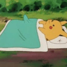 pikapikahorny