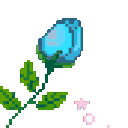 roseblue