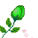 rosegreen