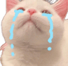 sadkitti