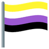 nonbinaryflag