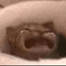 awa