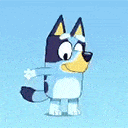 bluey2