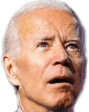 BidenStare