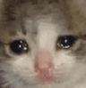 catkhocvcl