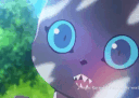 cateyes