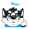 LP_boop