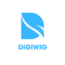 DigiWig's NFTs's icon