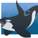 discord server logo