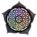 Eye Rise Art & Tarot's icon