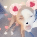 ⋆｡˚꒰ঌ Soulfinders ໒꒱˚｡⋆'s icon