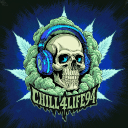 discord server logo