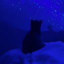 Sapphire Lounge's icon