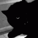 ✩ Abyss ✩'s icon