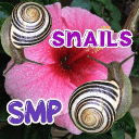 Snail SMP's icon