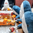 BLÅHAJ paradise 🦈's icon