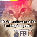 femboy bubble butt pics!'s icon