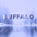 The Buffalo NY Server's icon