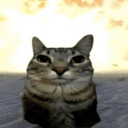 【『_♡✿     ☾♫__𝕊𝔼ℂ𝕊𝕆__♪☽    ✿♡_』】's icon