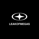 LeakOfMegas's icon