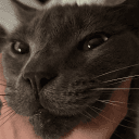 Friends of Friends's icon