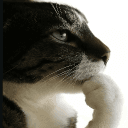 Friends of Friends's icon